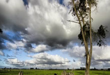 有哪些靠谱的网球免费观看直播平台？